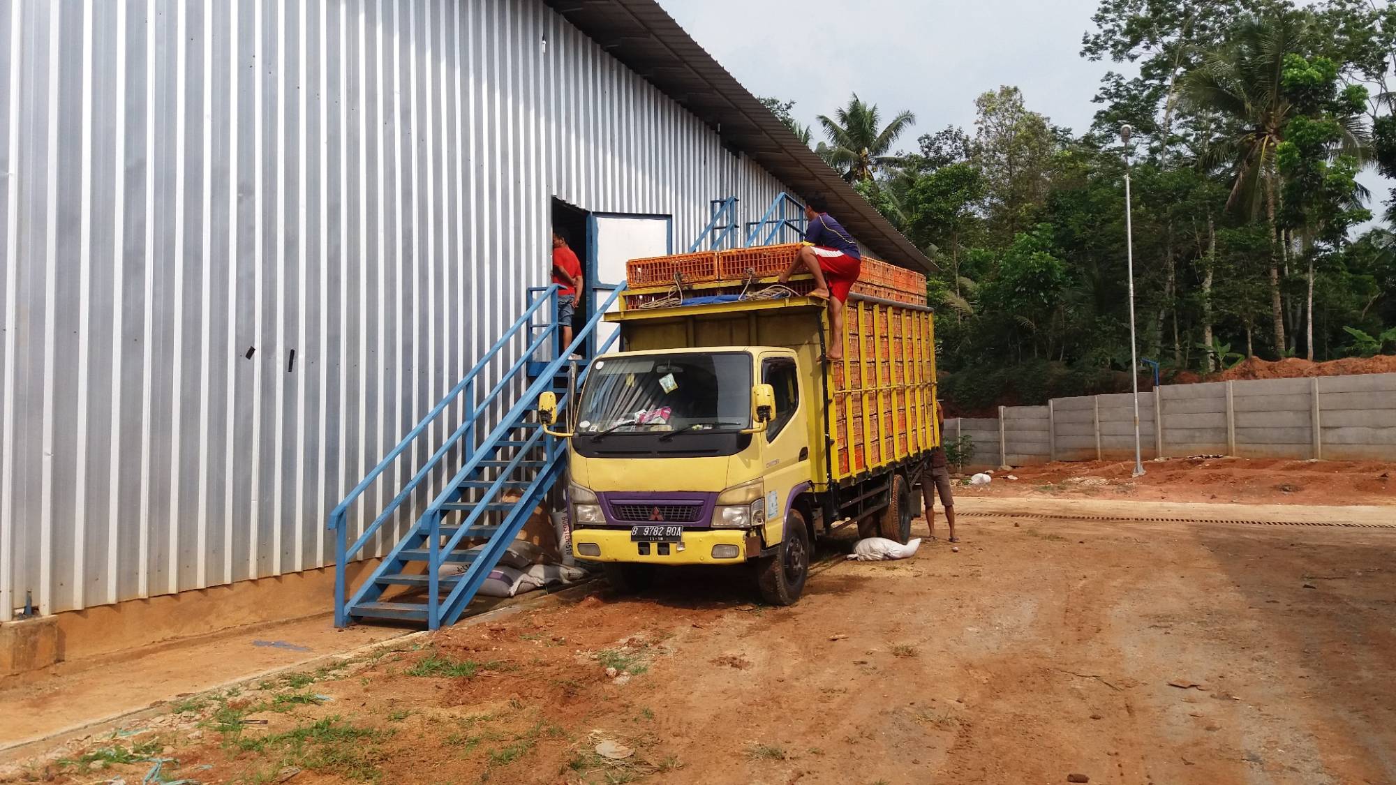 Modern Farm, Close House System